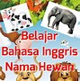 Nama Hewan Dalam Bahasa Inggris A Sampai Z